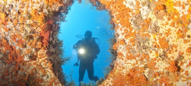 Área de Capo de Capo de Capo de Saccagna Oficina de buceo del sur de Southern
